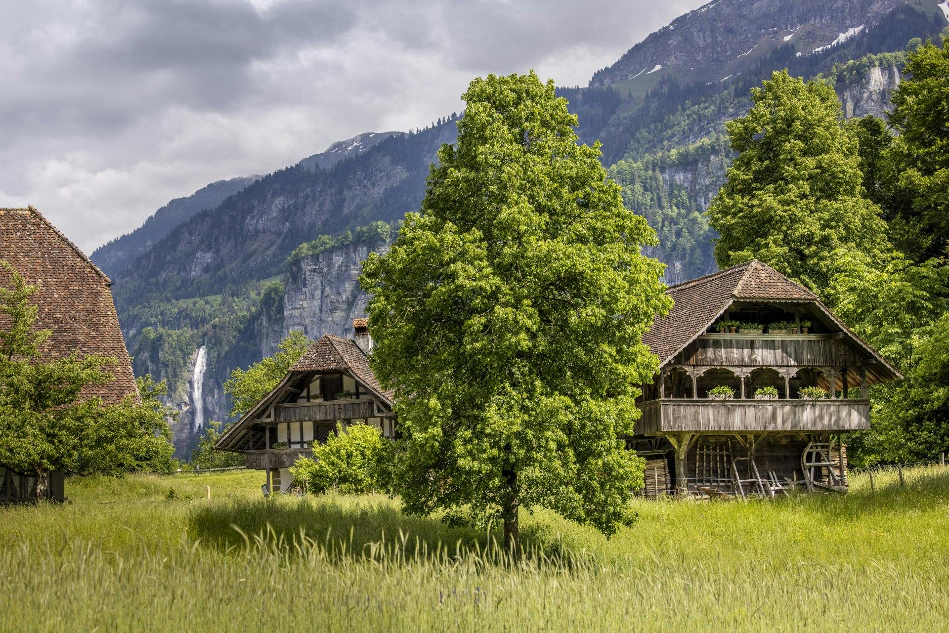 110 historische Gebäude aus der ganzen Schweiz stehen auf dem Ballenberg.