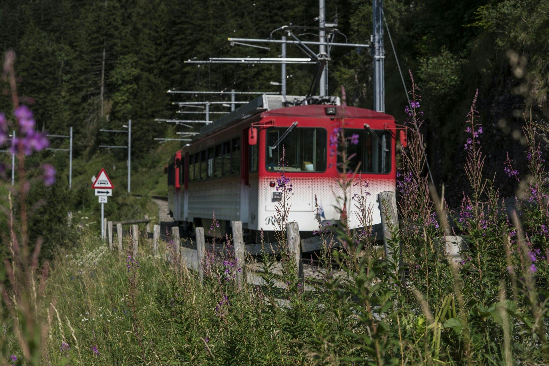 Die erste Bergbahn Europas transportiert die Gäste in 30 Minuten auf den Gipfel der Rigi.