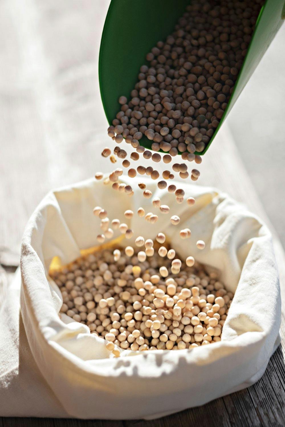 Hochwertige Proteinerbsen für hochwertige Produkte: THE GREEN MOUNTAIN setzt auf Regionalität und Qualität.