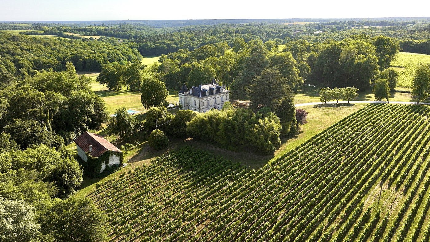 Edle Tropfen zu bezahlbaren Preisen: Château Bauduc und...