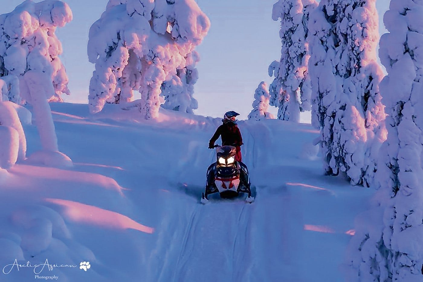per Scheemobil zügig durch magisch angeleuchtete Bäume: