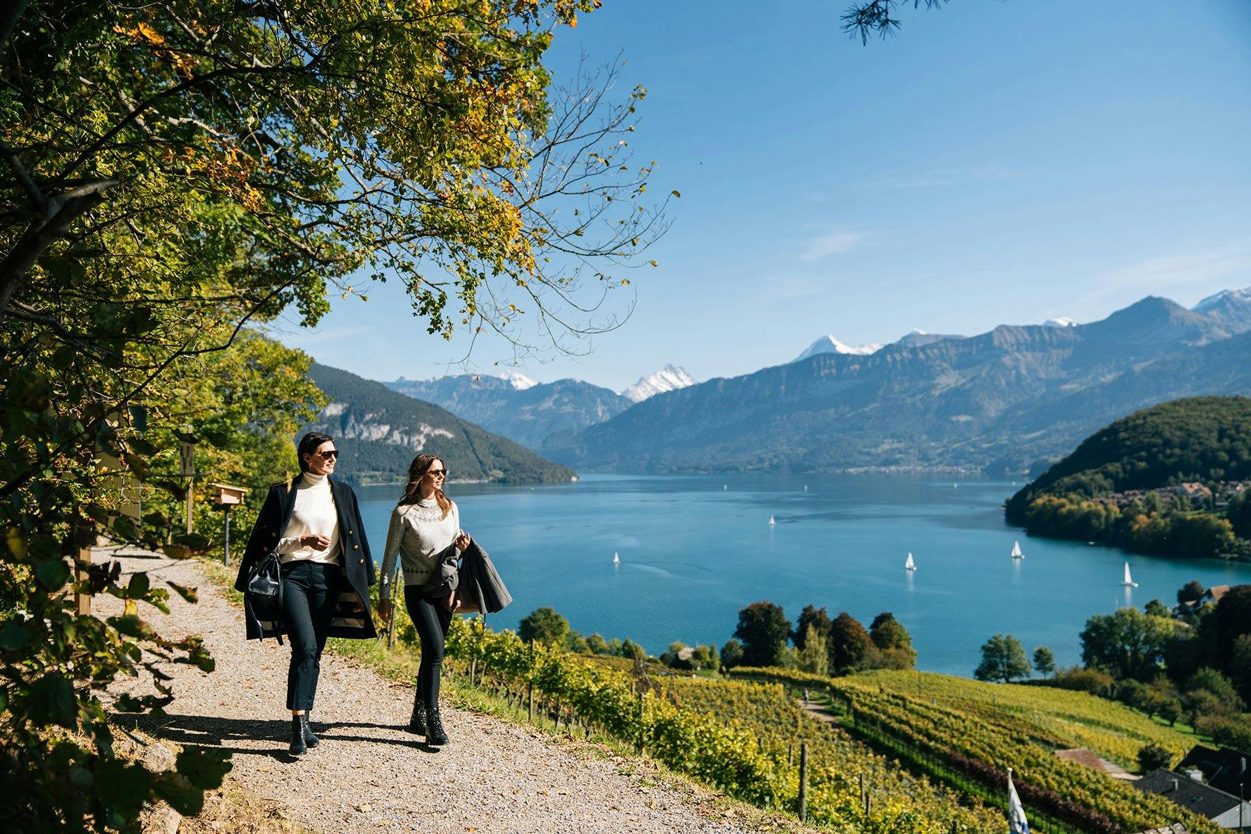 Alpine Weinkultur in Spiez – gemütlicher Spaziergang durch den Rebberg.