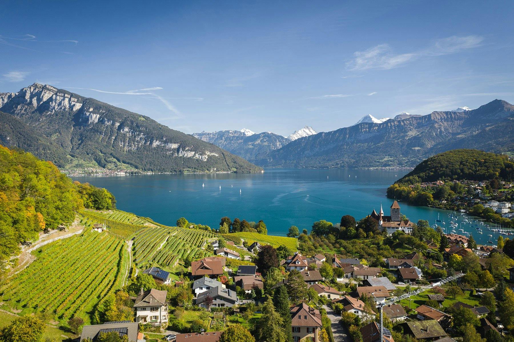 Panoramablick über die malerische Spiezer Bucht.