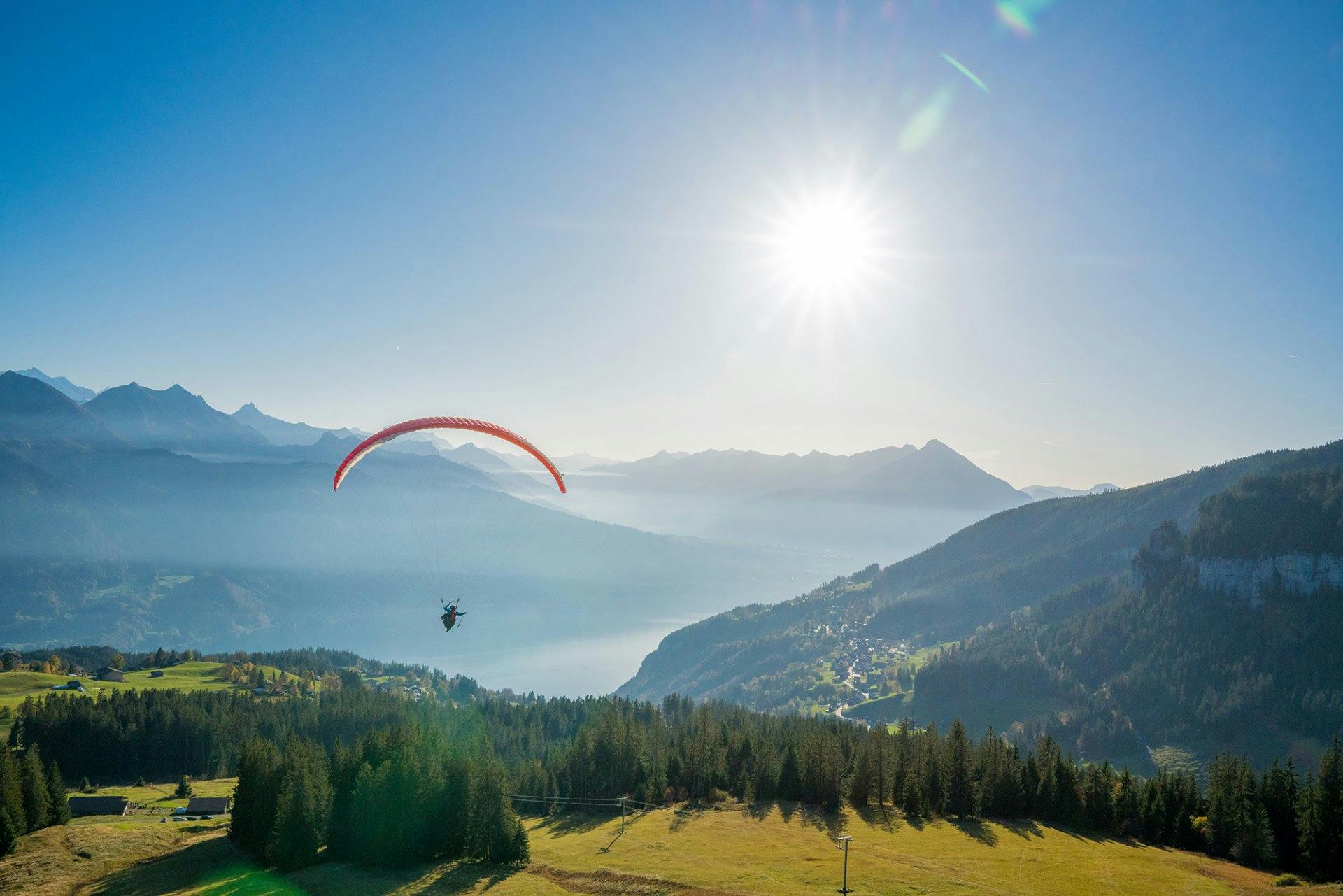 Frei wie ein Vogel – Paragliding über der herbstlichen Natur und dem Thunersee.