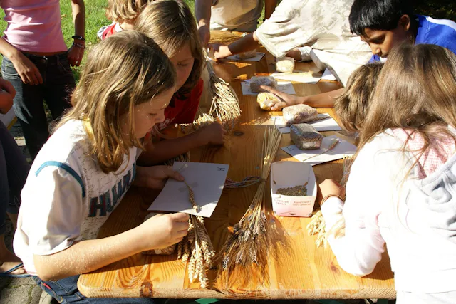Was bedeutet Nachhaltigkeit überhaupt?