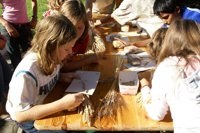 Was bedeutet Nachhaltigkeit überhaupt?