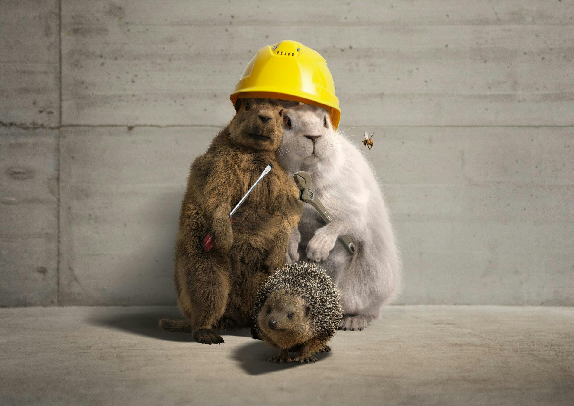 Mit dem Programm «erneuerbar heizen» sensibilisiert EnergieSchweiz Eigentümerinnen und Eigentümer für die Vorteile von Heizsystemen, die mit erneuerba...