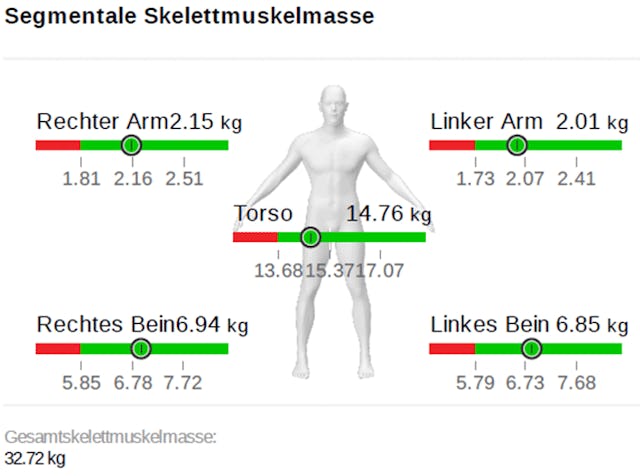 Die Analyse ist detailliert: Jedes Körpersegment kann einzeln ausgewertet werden.