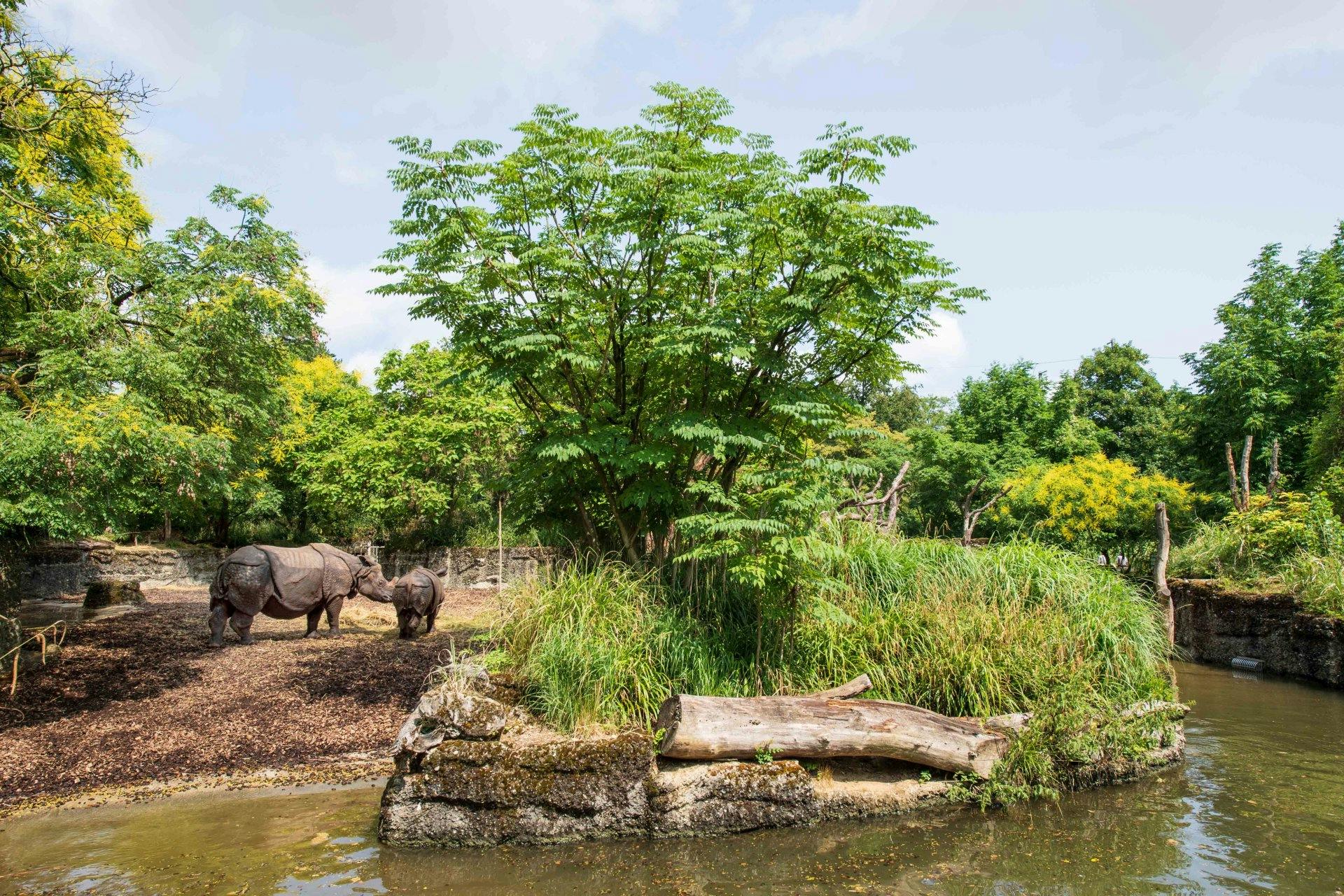 Bei der Zolli-Safari gibts eine Menge zu entdecken!