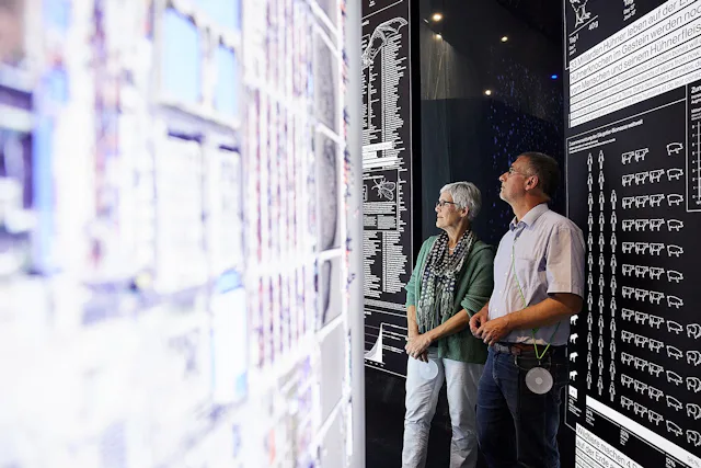 Blick in die Ausstellung «Natur. Und wir?» im Stapferhaus Lenzburg.