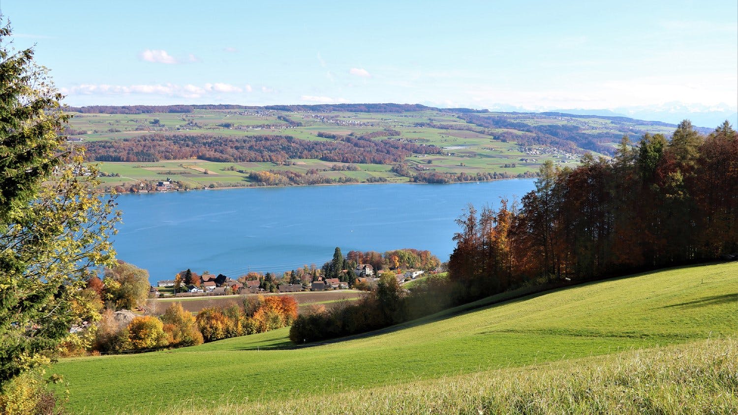 Hallwilersee.