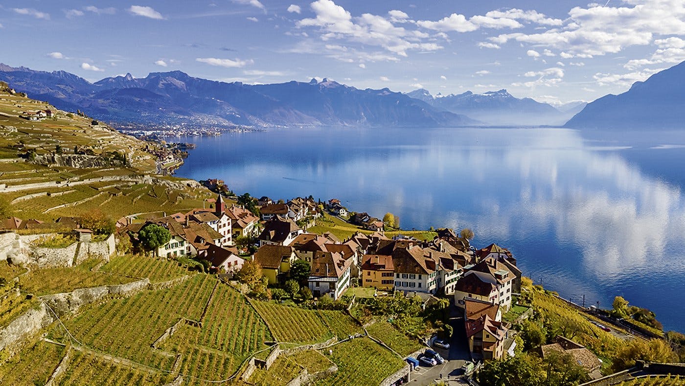 Lavaux am Genfersee.
