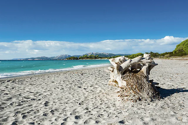 Plage de Palombaggia, Frankreich: Auf Korsika gelegen, zeichnet sich dieser Strand durch seine feinen Sanddünen, das klare Wasser und die umliegenden Pinienwälder aus.