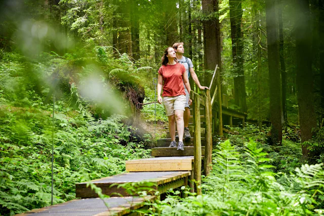 Entlebucher Urwald zum Döreschnuufe!
