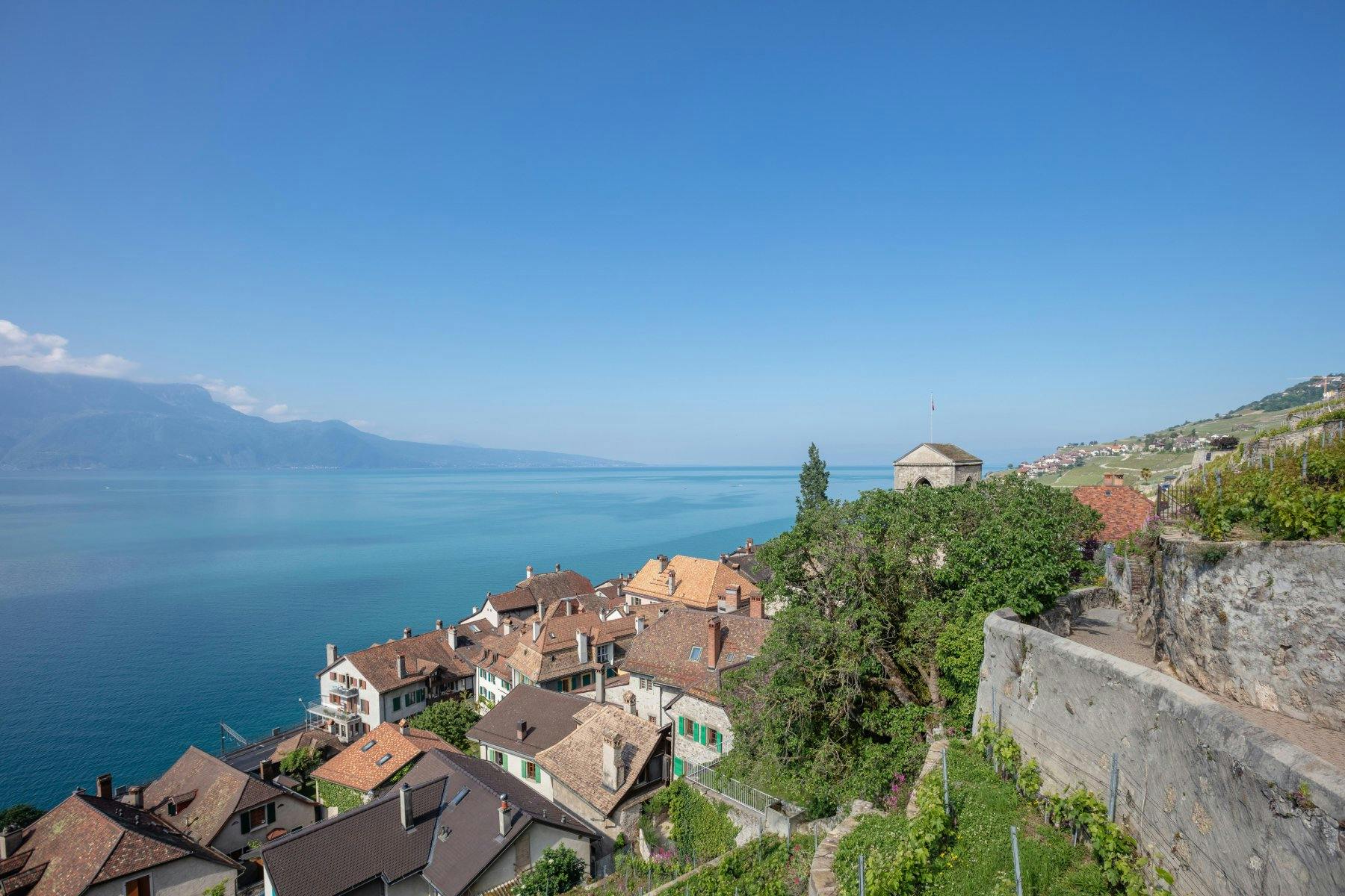 Saint-Saphorin, Chardonne-Corseaux-Vevey.