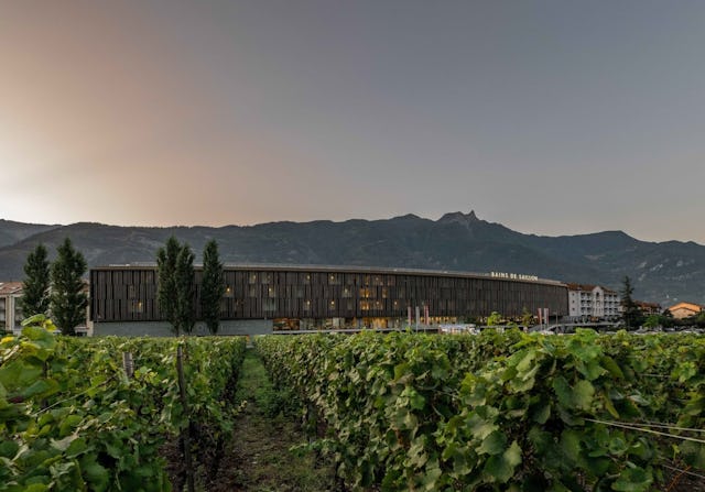 À l'hôtel «Les Bains de Saillon», au milieu des vignobles valaisans, les hôtes peuvent assister de près aux vendanges.
