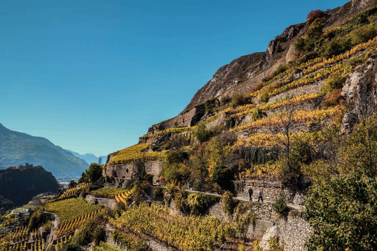Cet itinéraire traverse certains des vignobles en terrasses les plus pentus au monde.