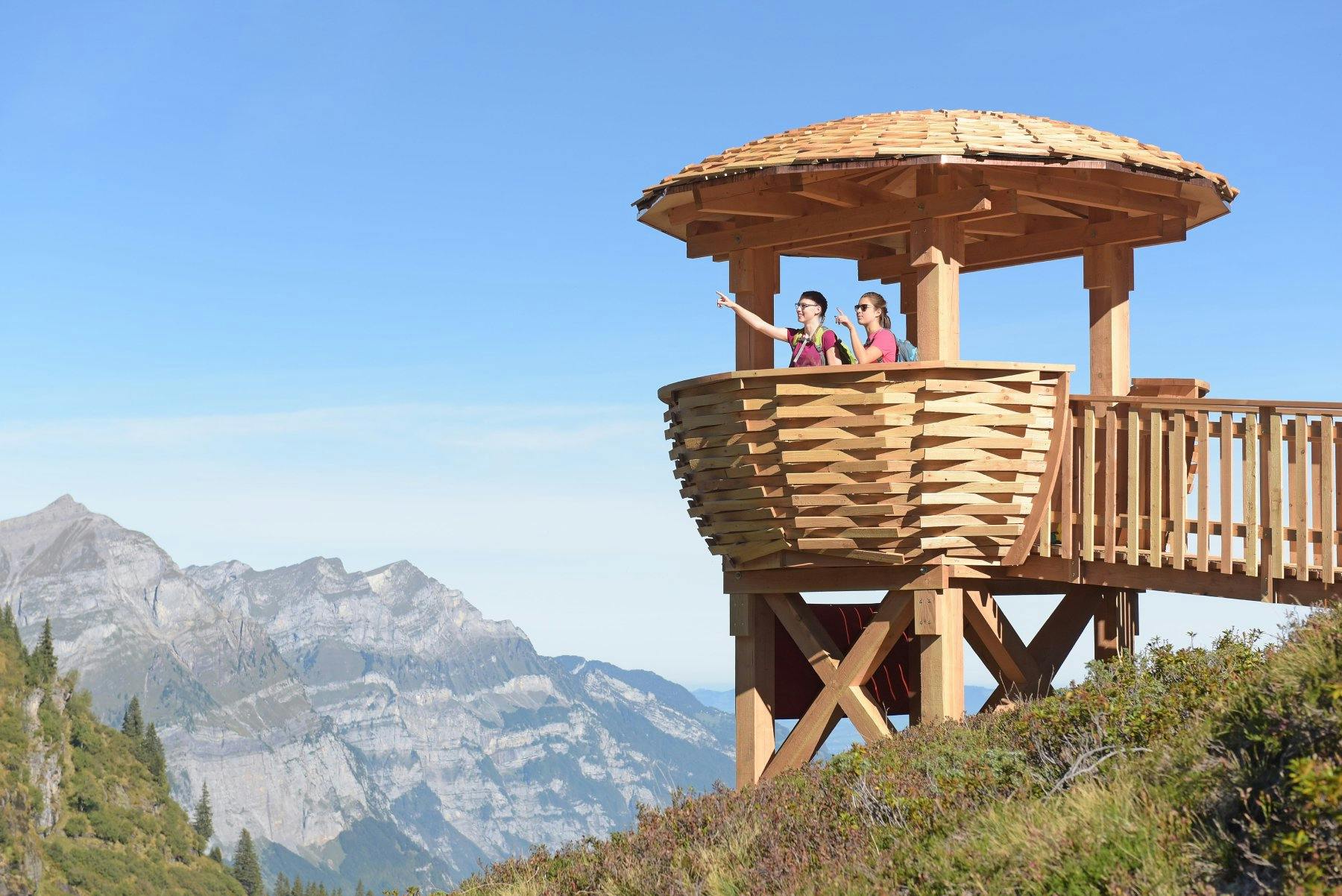 Au cœur de l’habitat des animaux sauvages.