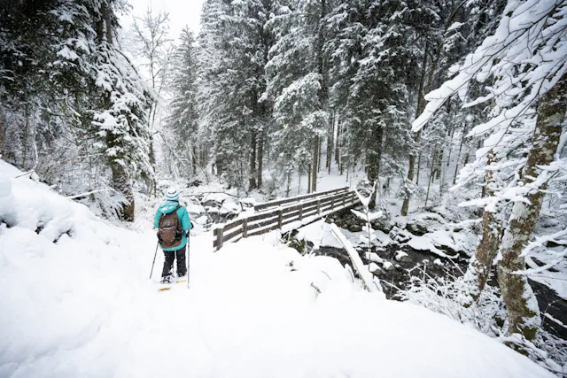 La magie de l’hiver en forêt à Champoussin.