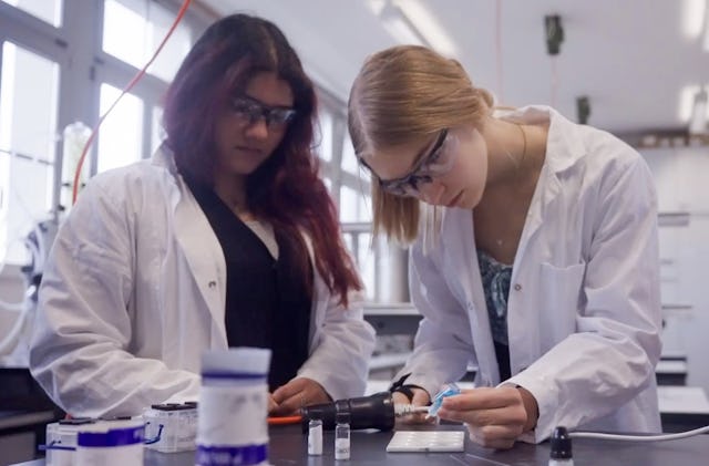 Praxisnahes Lernen: Die NMS Bern begleitet junge Menschen auf dem Weg zur Matura.