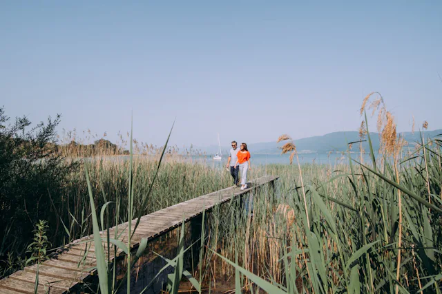 Ruhe und Natur pur in der Grande Cariçaie: Entdecken Sie unberührte Landschaften, Pflanzen und Tiere auf einer Tour durch die Naturschutzgebiete.
