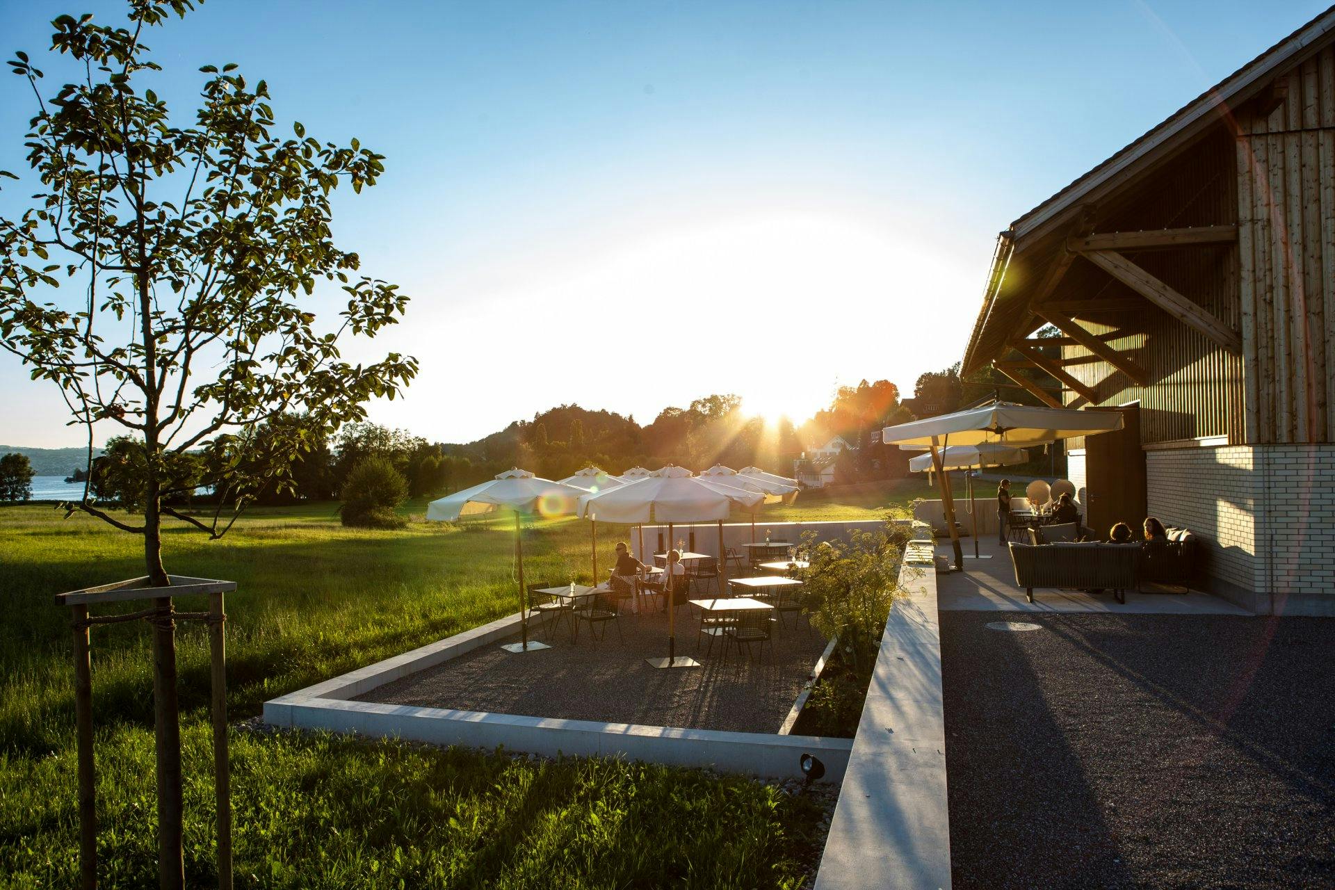 Am Weingut Höcklistein wachsen Pinot Noir, Räuschling und Chardonnay mit Aussicht auf Rapperswil.