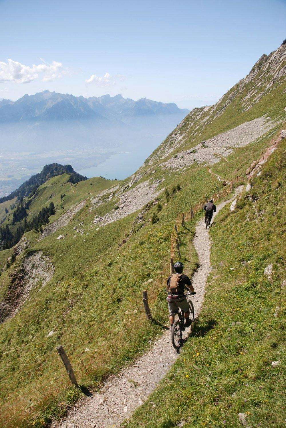 Faire de la randonnée, du vélo ou simplement profiter de la nature: la floraison des narcisses est particulièrement impressionnante en mai et juin, lo...