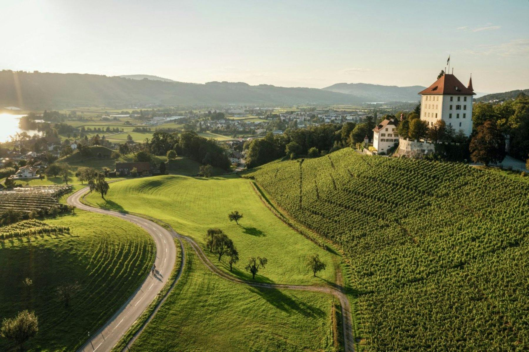 Le château de Heidegg et ses jardins baroques dominent le lac de Baldegg. Les salles historiques offrent un aperçu fascinant de la vie des siècles pas...