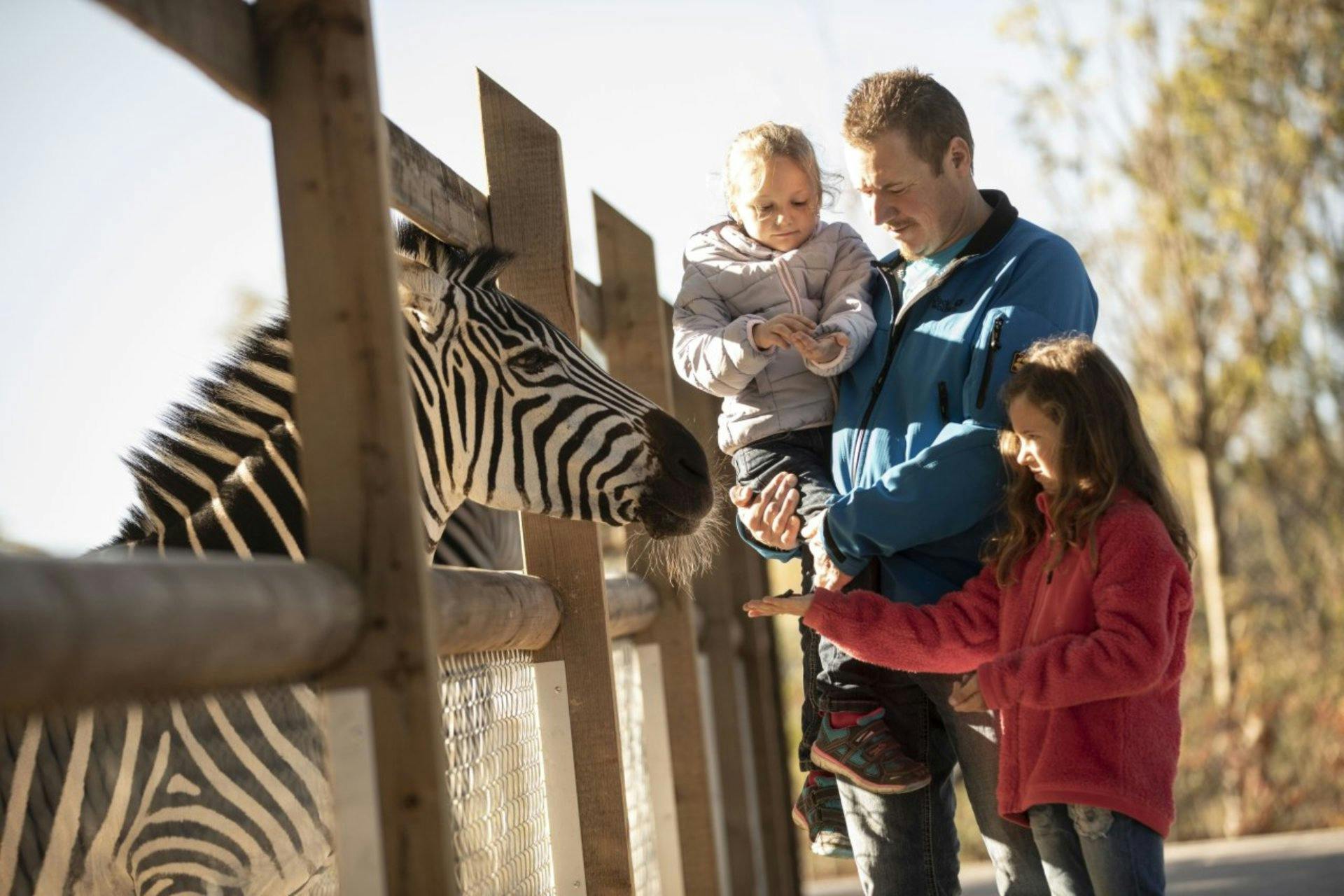 Walter Zoo, Gossau: plus de 1000 animaux de plus de 100 espèces différentes font du Walter Zoo un lieu de prédilection pour toute la famille. Tu pourr...