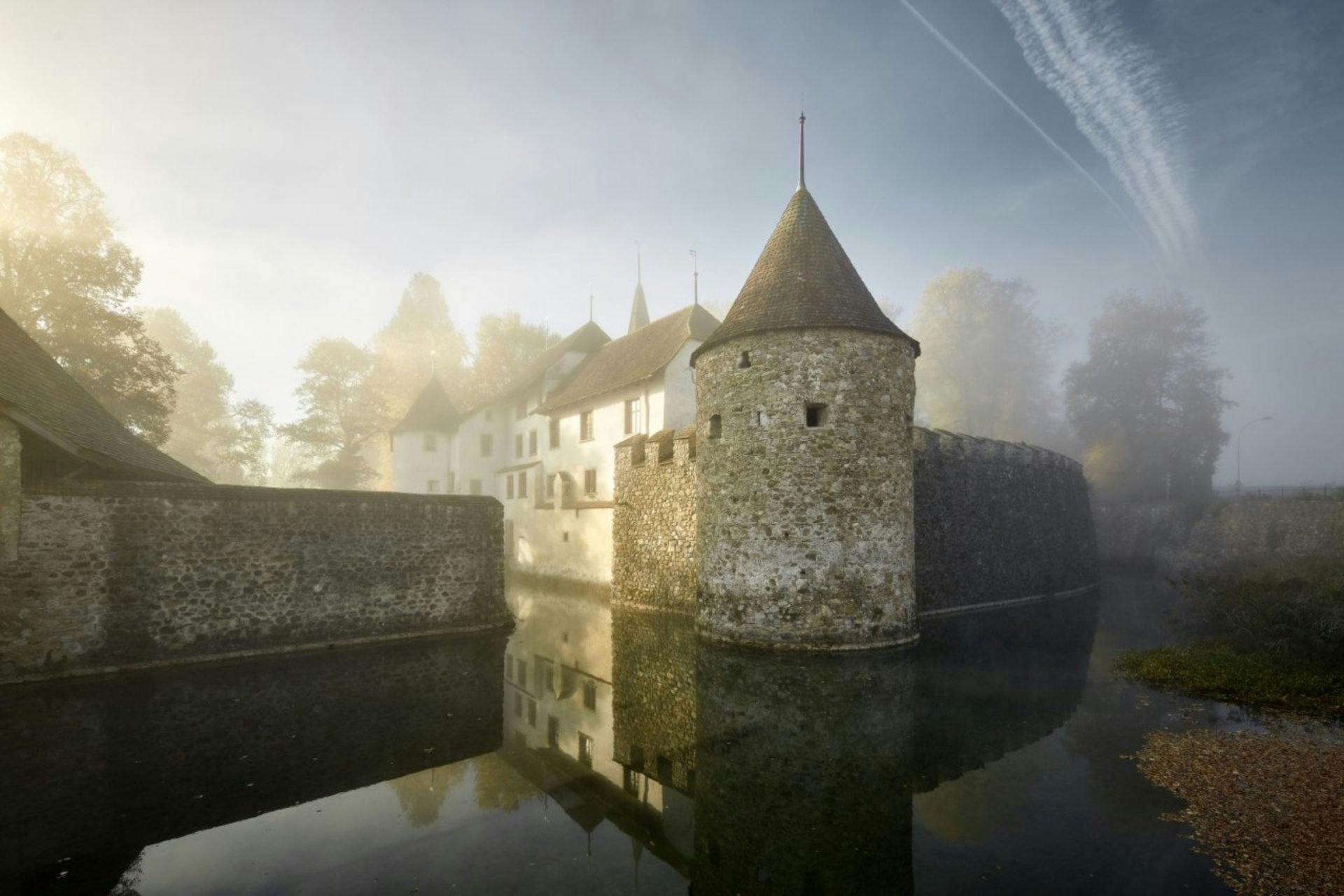 Das Schloss Hallwyl ist eines der schönsten Wasserschlösser der Schweiz. In der interaktiven Ausstellung tauchen Sie in die 800-jährige Geschichte der...