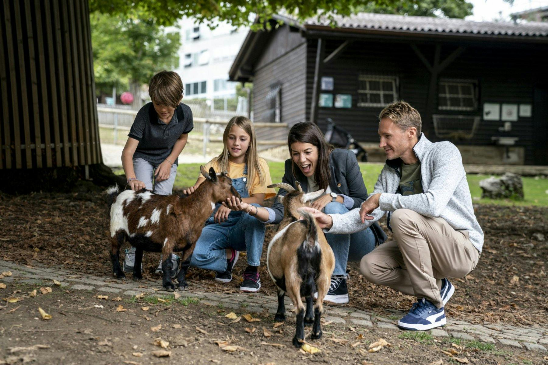 De St-Imier, il ne faut que 15 minutes pour se rendre à La Chaux-de-Fonds. Ici, le Muzoo offre une aventure incroyable: ce complexe innovant réunit le...