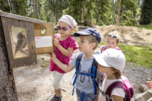Auf dem Betelberg sorgen Themenwege, Spielstationen und Erlebnisgondeln für Spass und Abenteuer bei Gross und Klein.
