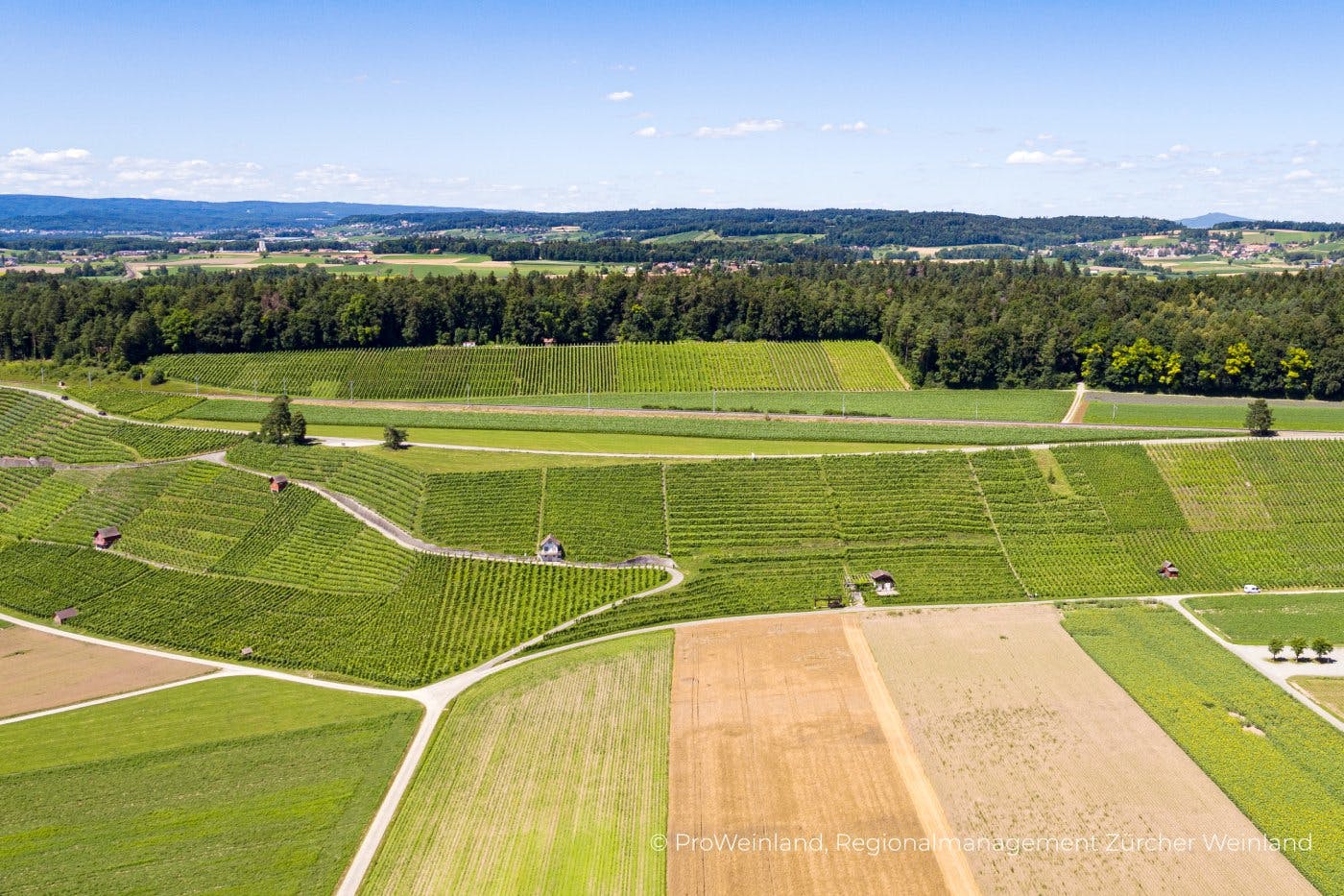 Erste Stopp-Empfehlung: Andelfingen. Von hier aus führt eine vierstündige Wanderung die Thur entlang, durch Rebberge, schattige Wälder und über frucht...