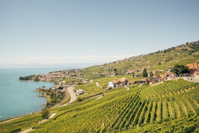 Situé dans l’une des plus belles régions de notre pays, le vignoble en terrasses de Lavaux, inscrit au patrimoine mondial de l’UNESCO depuis 2007, est le plus grand vignoble de Suisse.