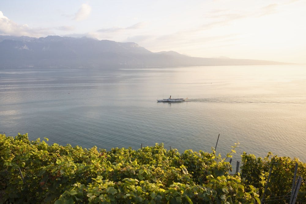 À 5 minutes de l’effervescence lausannoise, vous pouvez descendre à la halte de Bossière, située dans la commune de Lutry. Cet arrêt, se trouvant sur...