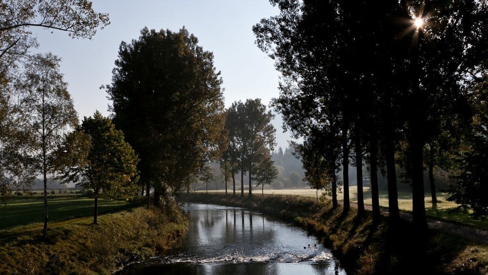 Un autre incontournable: les gorges de l’Areuse! Également au départ de Noiraigue, ce sentier de randonnée suit le cours de l’Areuse, tantôt paisible,...