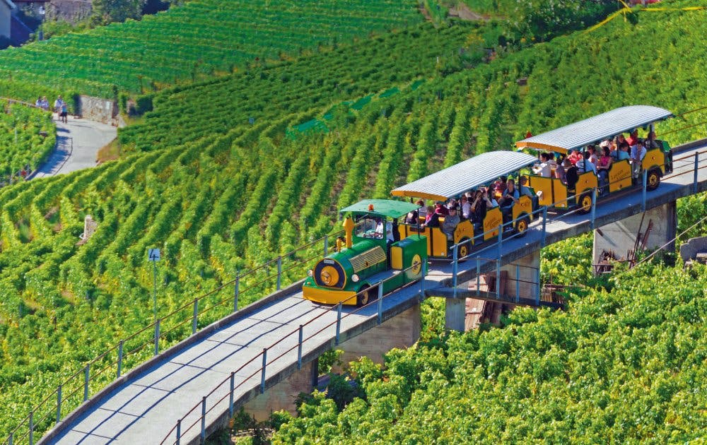 Si vous souhaitez découvrir le vignoble de manière encore plus détendue et originale sans vous fatiguer au départ de Lutry, montez à bord du Lavaux Ex...
