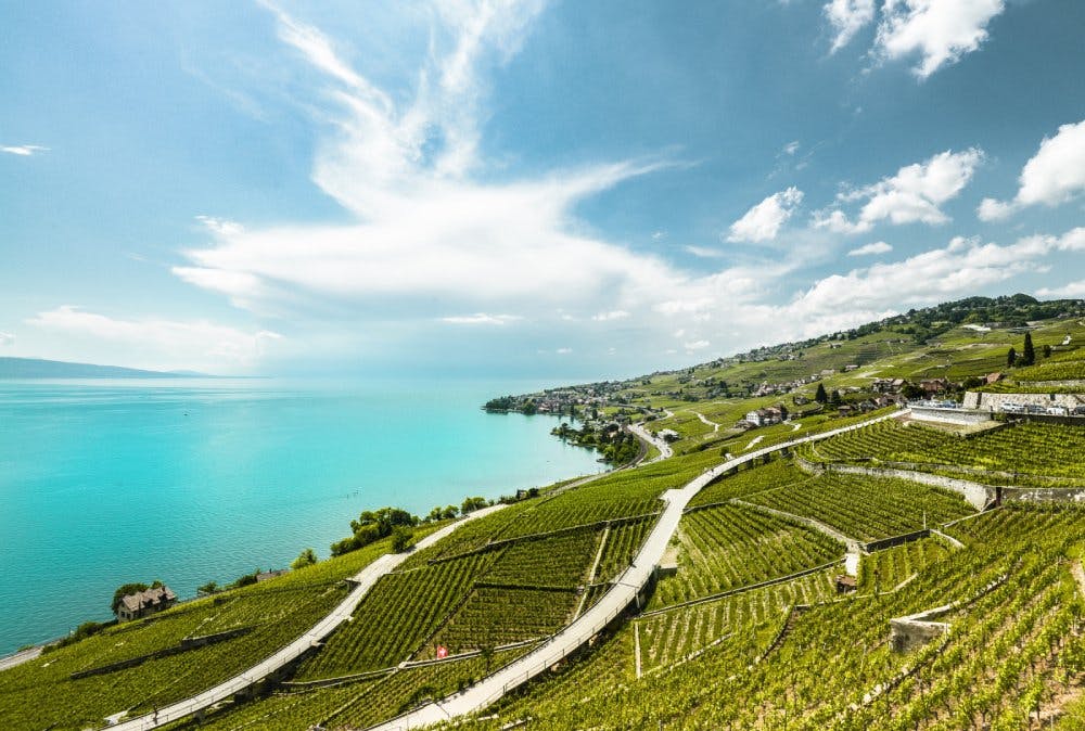 Découvrez la Suisse romande à bord de ces lignes de train