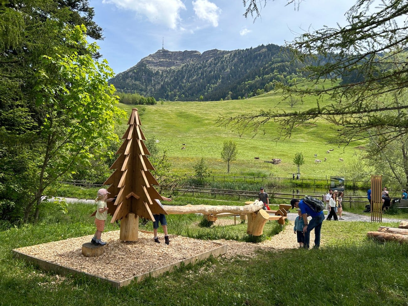 In 19 Minuten erreicht man dann Küssnacht am Rigi, wo die nächste Attraktion wartet: die «Chugelbahnen Seebodenalp». Vom Bahnhof gelangt man in rund 2...