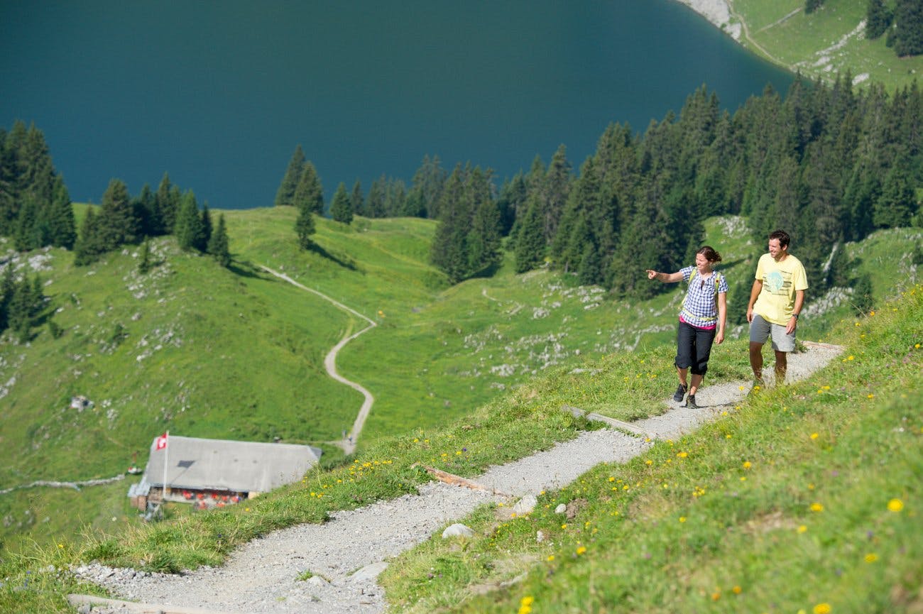 Au Stockhorn, il y en a pour tous les goûts: de la balade tranquille à la randonnée en montagne la plus exigeante.