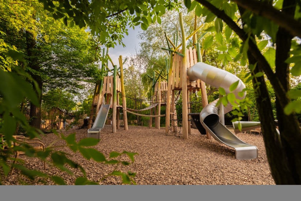 Entre nature et aventures aquatiques, le Papiliorama à Chiètres offre aux enfants un terrain de jeu idéal pour se défouler.