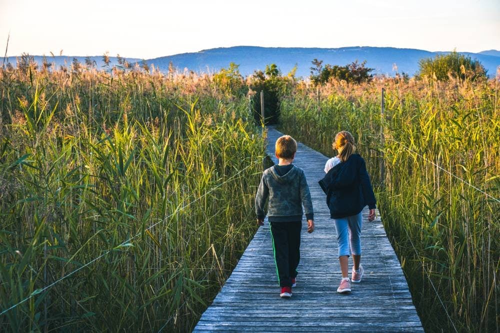 Si vous préférez la nature, vous devez impérativement visiter la Grande Cariçaie. Le plus grand marais lacustre de Suisse est accessible à pied depuis...