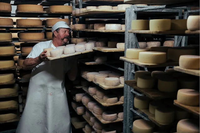 Depuis 1975, Sälmi Töngi transforme, tous les étés, le lait de la fromagerie d’alpage Gerschnialp en fromages primés