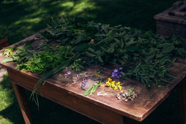 Le festival des herbes sauvages invite à s’initier aux anciennes traditions culinaires et aux vertus médicinales de ces plantes locales, tout en décou...