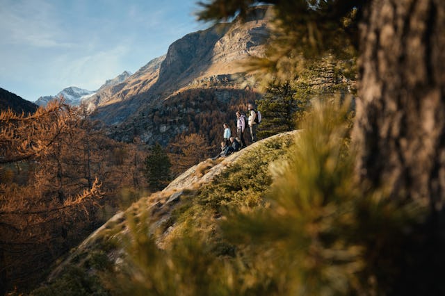 Le Furiweg est un sentier de randonnée facile qui traverse des forêts de mélèzes et d’aroles – un décor particulièrement chatoyant en automne.