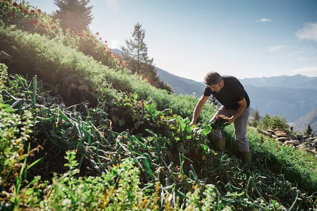 Auf der Alp San Romerio treffen sich Tagestouristen, Wanderer und Biker und geniessen neben der Gastfreundschaft von Susanna und Gino auch die Schönhe...