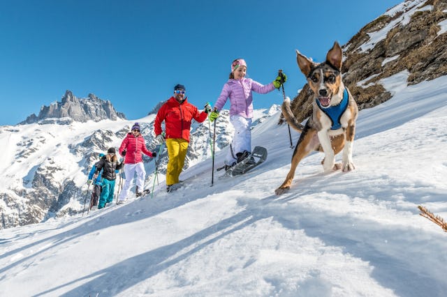 Zwei markierte Schneeschuhtouren laden auf der Fürenalp zu einer Erlebnistour ein.