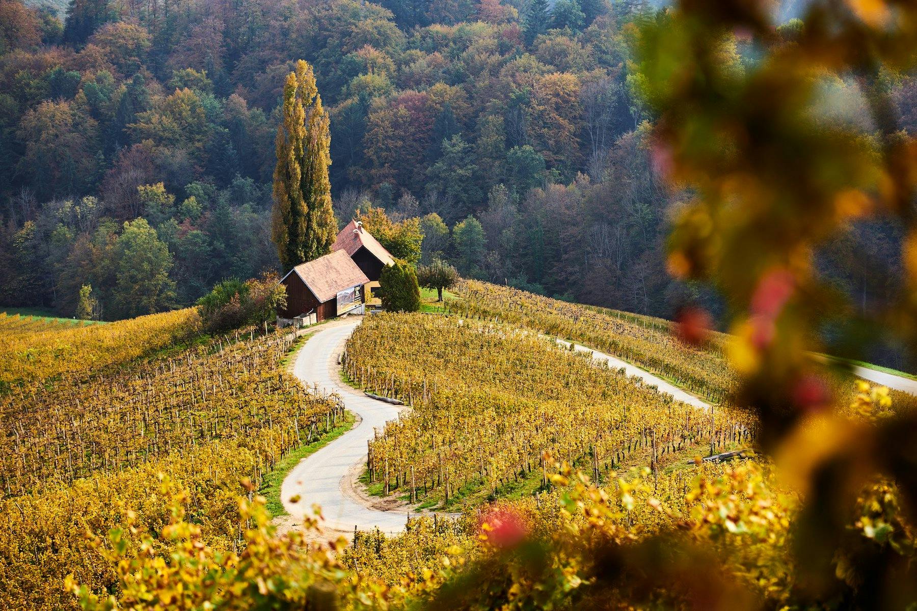 Die Hochebenen und Hügel in Zentral Slowenien sind meist leicht zugänglich.