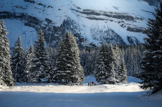 Entre sapins et montagnes: sur les chemins de randonnée au lac d’Oeschinen, tu découvres les beautés de l’hiver.