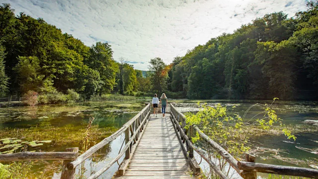 Arlesheim und Ermitage